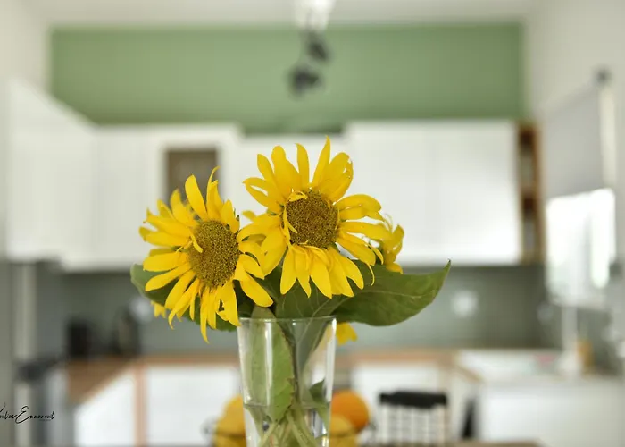 Casa de Férias Helios